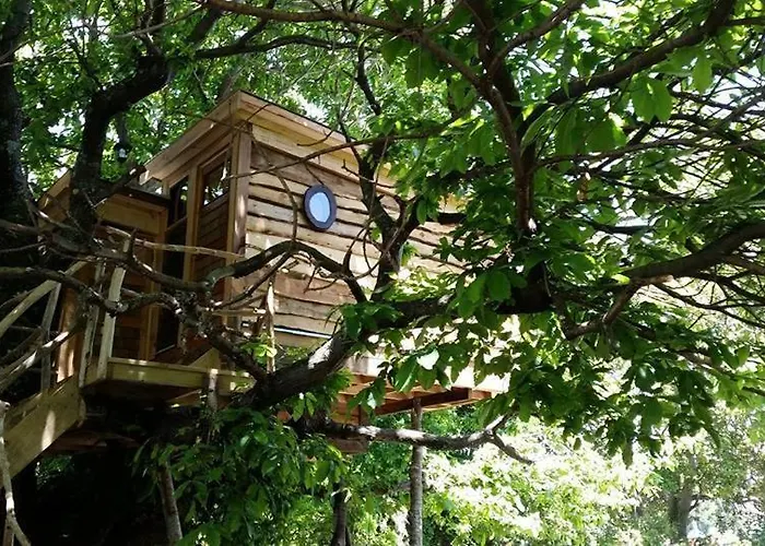 Chili Kiwi Lakefront Backpackers